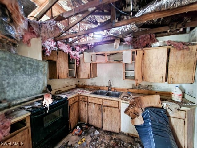 kitchen featuring dishwasher, sink, and black electric range