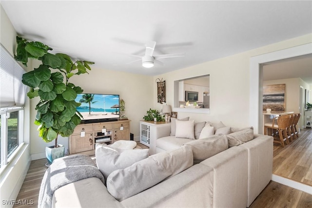 living room with ceiling fan and hardwood / wood-style flooring