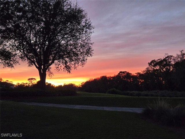 view of yard at dusk