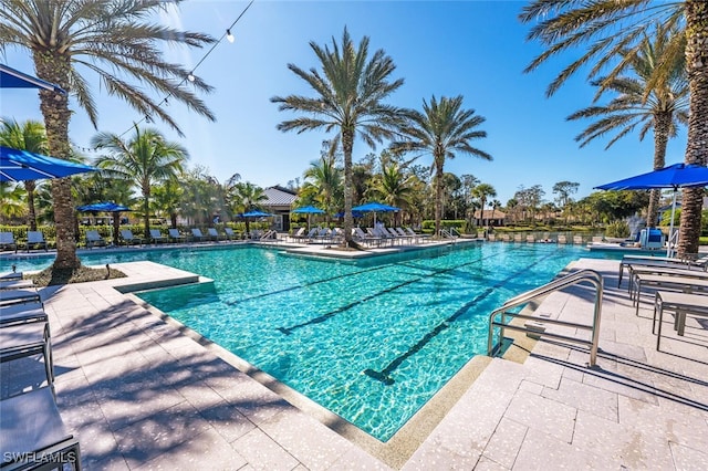 view of pool with a patio area