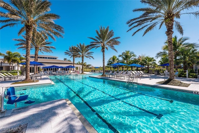 view of pool with a patio area