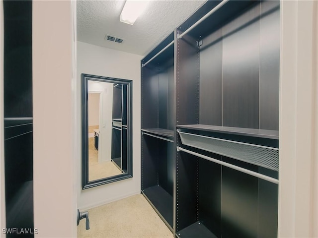 walk in closet featuring carpet flooring