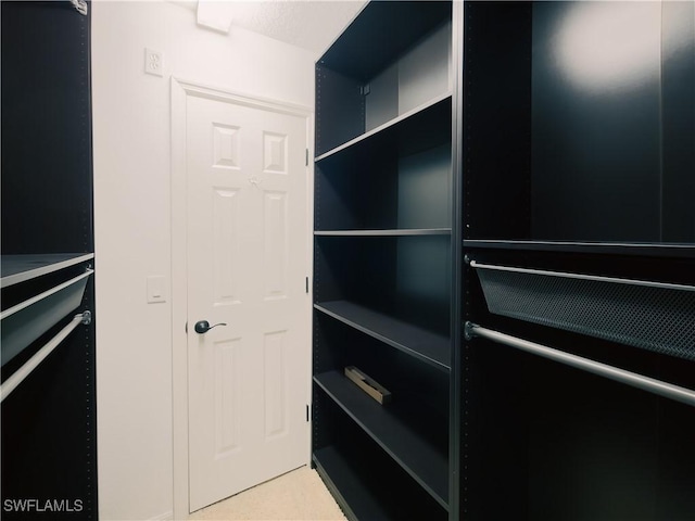 view of closet