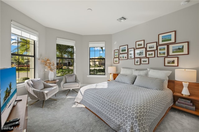 bedroom with carpet floors and multiple windows