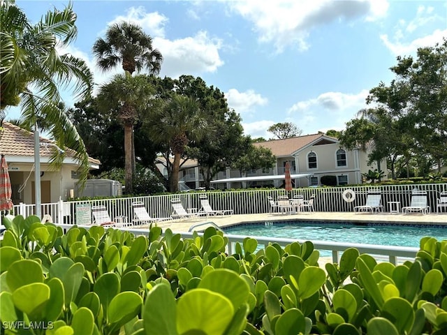 view of swimming pool