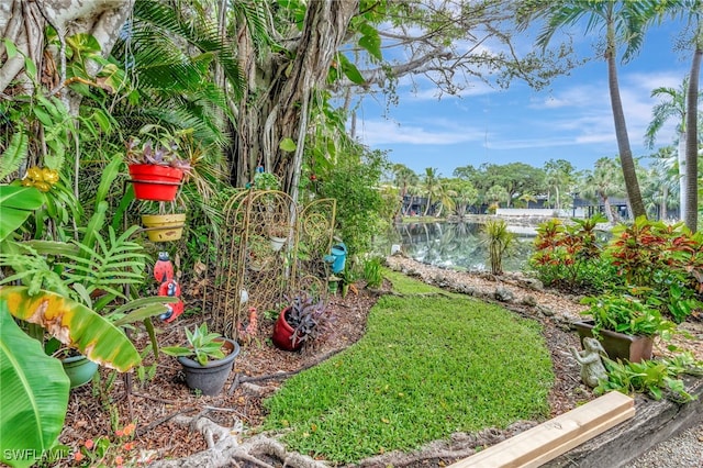 2511 Estey Ave Unit E4, Naples, FL 34104 - view of yard