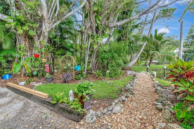 2511 Estey Ave Unit E4, Naples, FL 34104 - view of yard