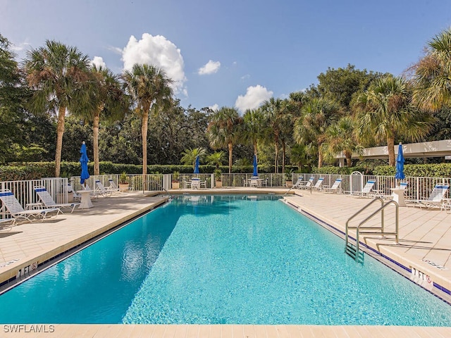 view of pool featuring a patio area