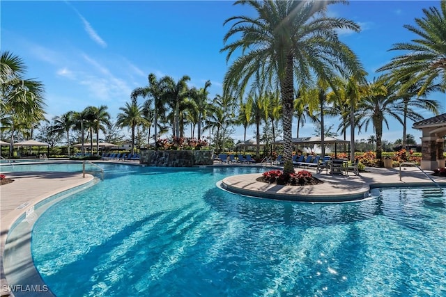 view of swimming pool featuring a patio