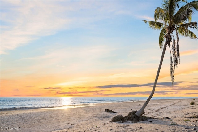 property view of water featuring a beach view