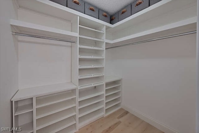 spacious closet featuring wood finished floors