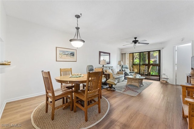 dining room featuring ceiling fan and light hardwood / wood-style floors