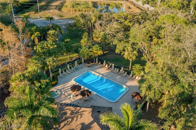 view of pool featuring a patio area