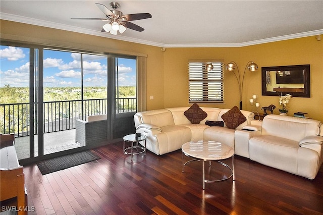 living room featuring dark hardwood / wood-style floors, ceiling fan, and crown molding