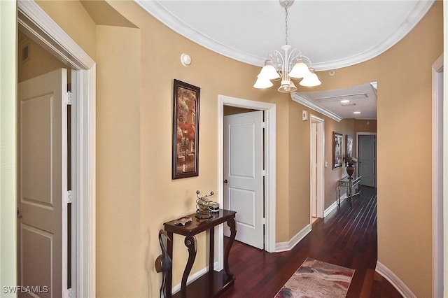 corridor with dark hardwood / wood-style flooring, a notable chandelier, and ornamental molding