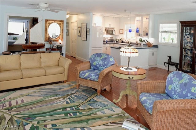 living room with a healthy amount of sunlight, ceiling fan, and light hardwood / wood-style floors