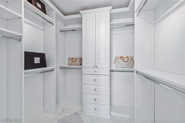 view of walk in closet