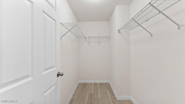 walk in closet featuring light hardwood / wood-style floors