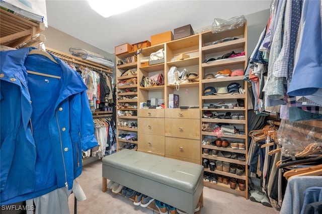 walk in closet with carpet