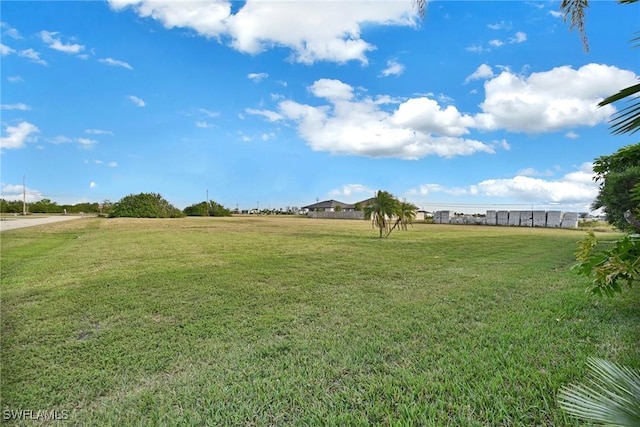 view of yard featuring a rural view