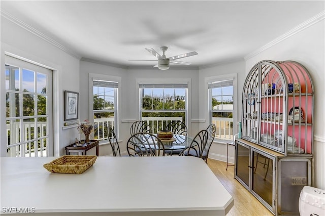 dining space with a wealth of natural light, ceiling fan, crown molding, and light hardwood / wood-style floors