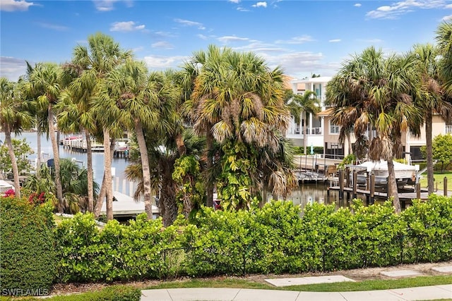 view of home's community featuring boat lift, a water view, and a boat dock