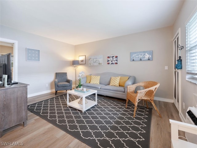 living room featuring hardwood / wood-style floors