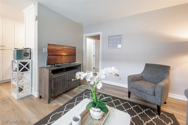 living room featuring light wood-type flooring