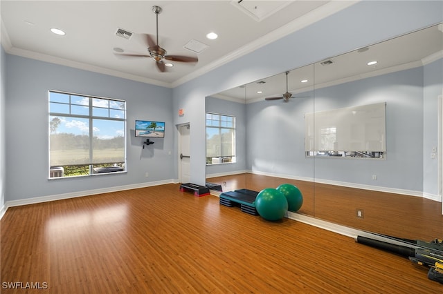 workout room with ceiling fan, wood-type flooring, and crown molding