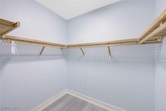 walk in closet featuring hardwood / wood-style flooring