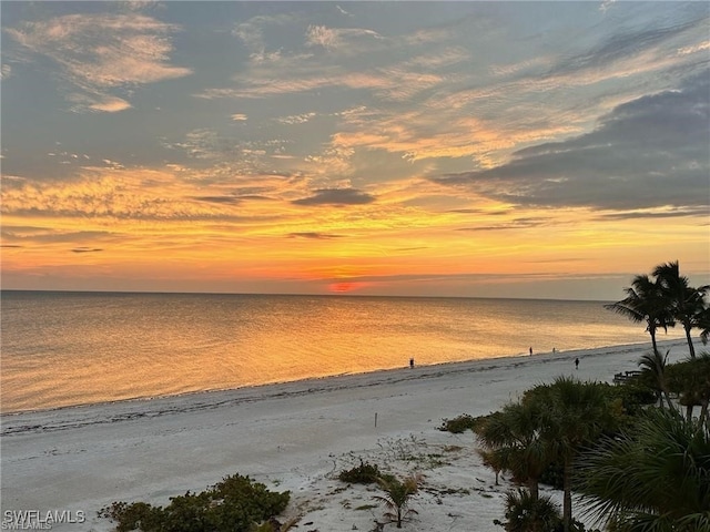 26340 Hickory Blvd Unit 703, Bonita Springs, FL 34134 - water view featuring local beach