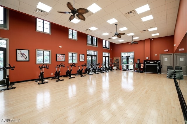 gym with a high ceiling, a drop ceiling, light hardwood / wood-style floors, and ceiling fan