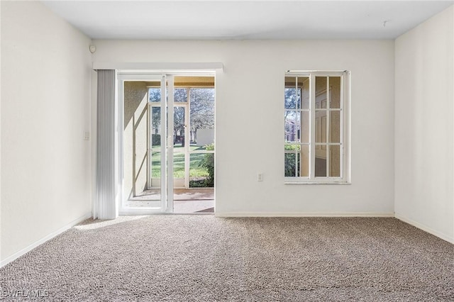 spare room featuring carpet flooring and a wealth of natural light