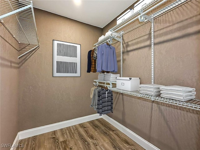 spacious closet featuring wood-type flooring