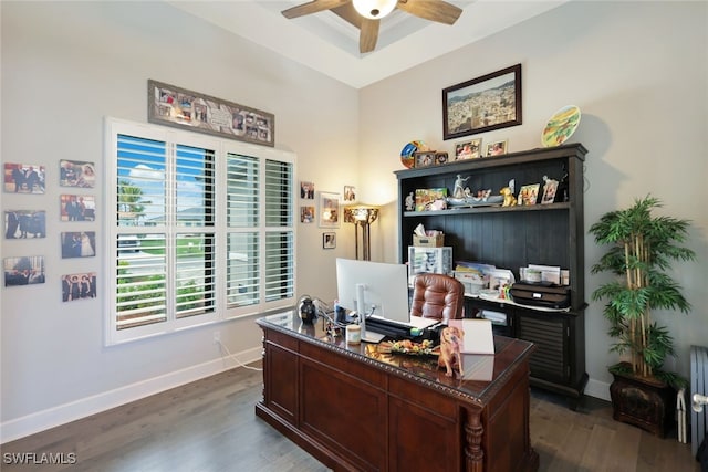 office area with ceiling fan and dark hardwood / wood-style flooring