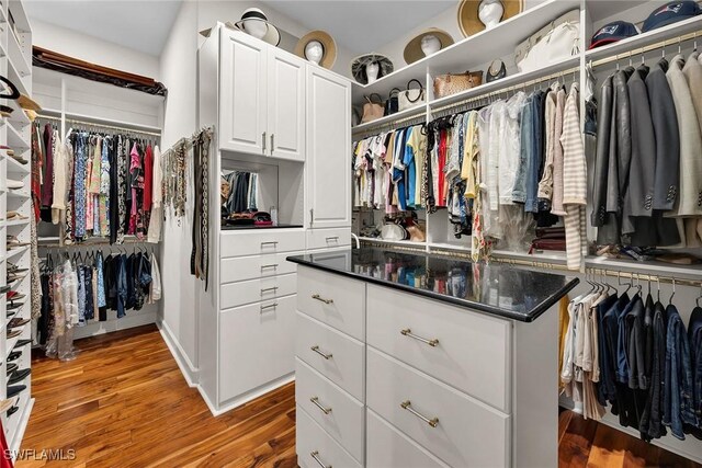 walk in closet with wood-type flooring