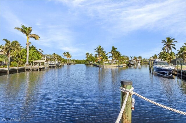 dock area with a water view