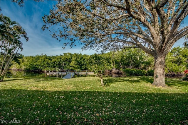 view of yard featuring a boat dock