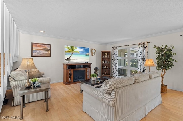 living room featuring light hardwood / wood-style floors and crown molding