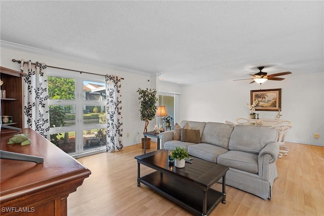 living room featuring ceiling fan, light hardwood / wood-style floors, and ornamental molding