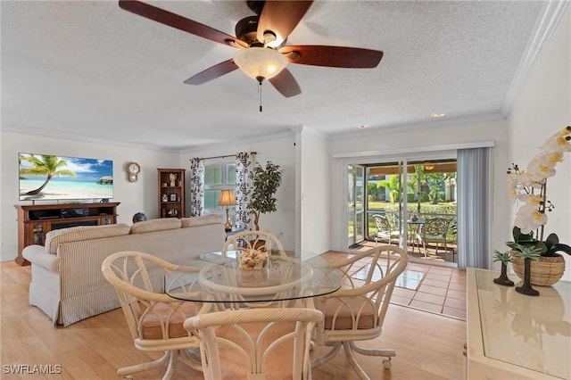 dining space featuring a textured ceiling, light hardwood / wood-style flooring, ceiling fan, and crown molding