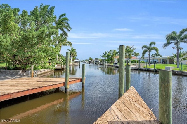 dock area with a water view