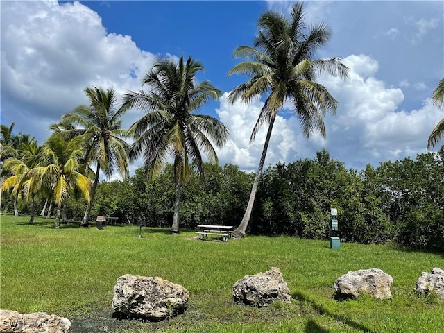 view of community featuring a lawn