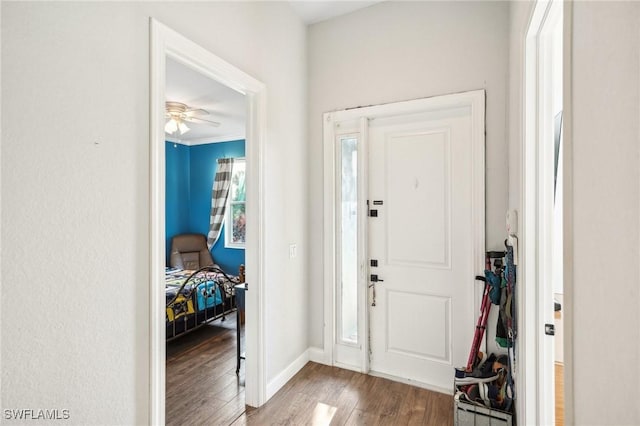 foyer with a wealth of natural light, ceiling fan, wood-type flooring, and ornamental molding