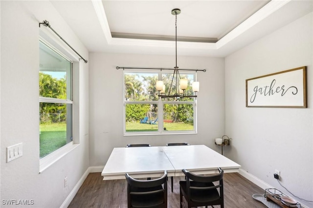 interior space featuring an inviting chandelier, a raised ceiling, and a wealth of natural light