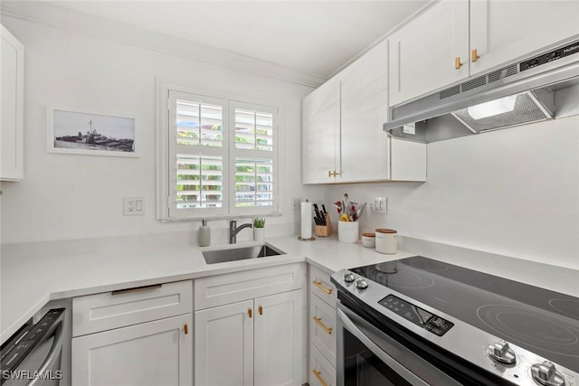 kitchen with sink, ornamental molding, stainless steel appliances, and white cabinetry