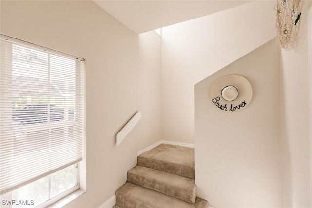 staircase featuring carpet