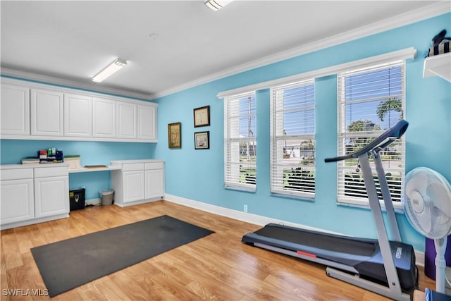 workout area featuring light wood-type flooring and ornamental molding