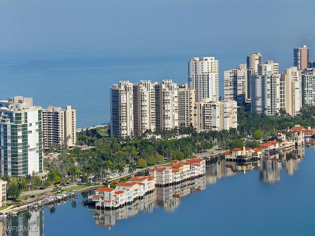 bird's eye view with a water view