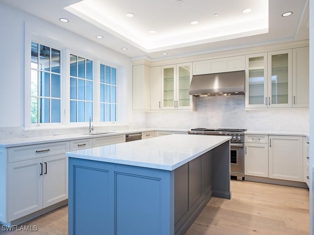 kitchen featuring a kitchen island, ventilation hood, light hardwood / wood-style floors, a tray ceiling, and stainless steel appliances